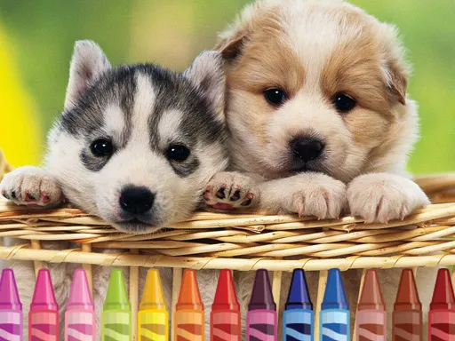 how to obtain flash in pokemon fire red