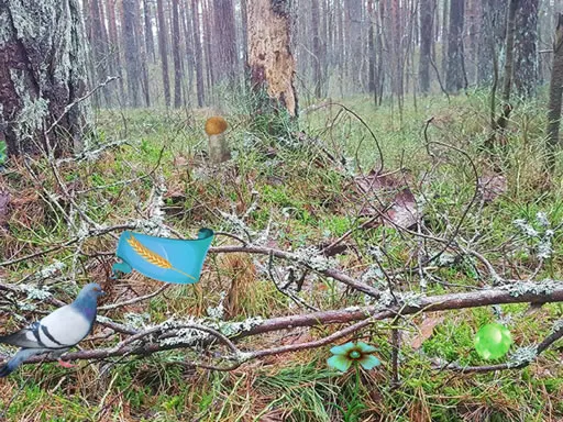 what pokemon give defense evs