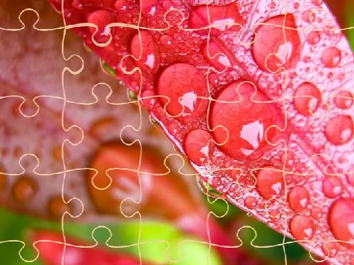 what pokemon give defense evs