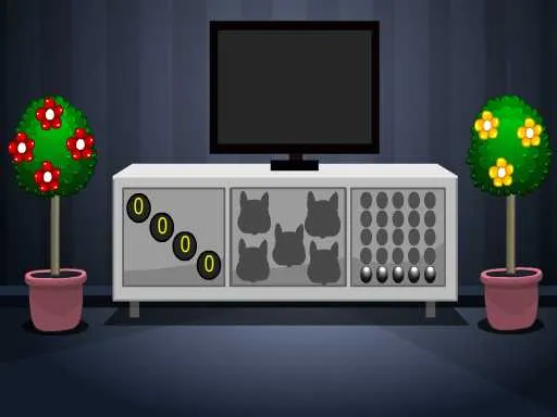 Pokémon Day celebrations revealed