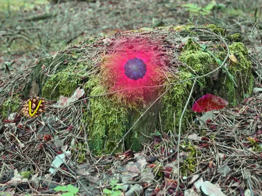 can you trade hoopa in pokemon go