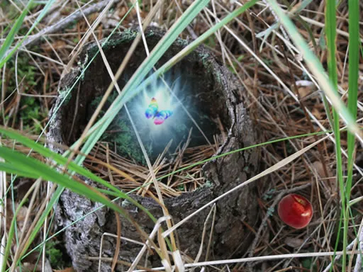 Pokémon Direct announced for tomorrow